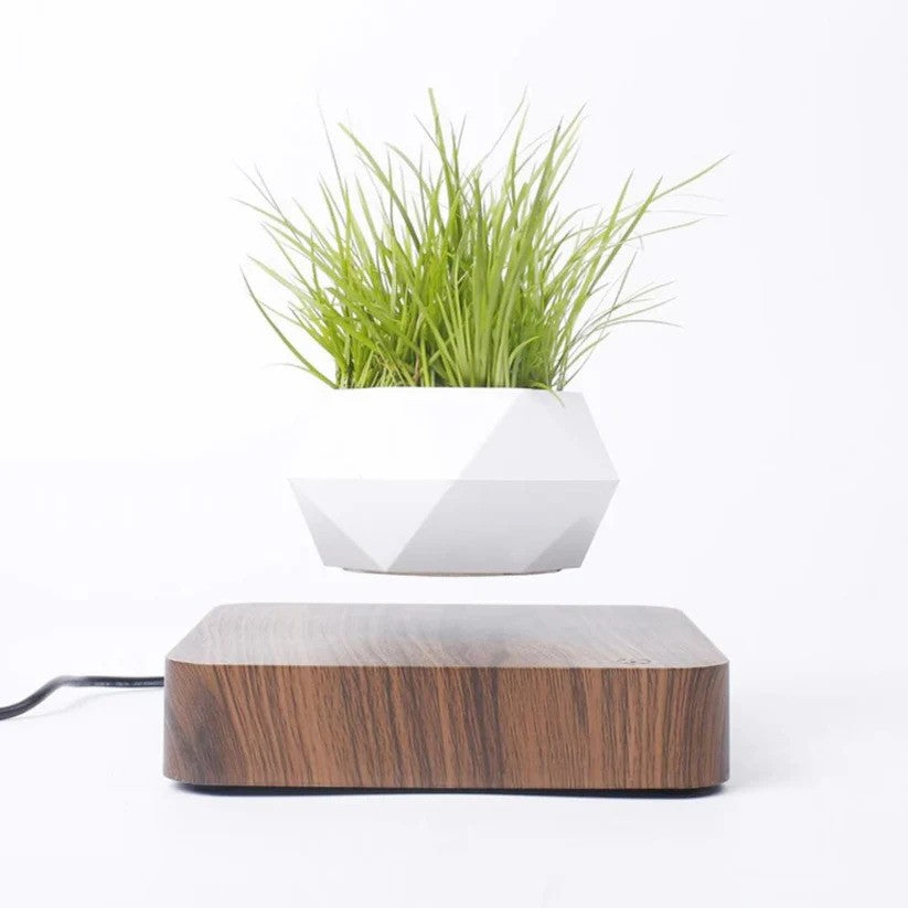 Finds4home™ Levitation Plant Pot