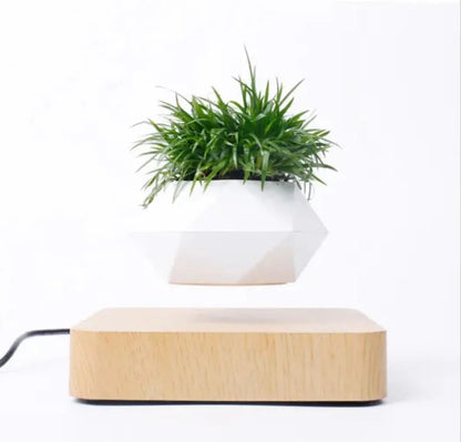 Finds4home™ Levitation Plant Pot